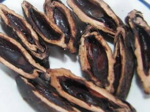 吃一个槟榔的危害性多大 一个槟榔等于几根烟