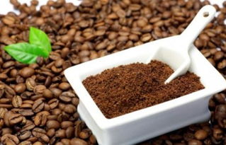 咖啡渣怎样发酵变肥料 咖啡渣养花需要先晒干吗