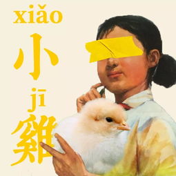 小鸡一直叫不停会死吗 一只小鸡仔会孤独死吗