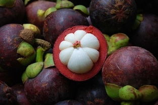 山竹一次吃几个合适 山竹一天吃几个为宜