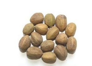 巴豆是什么样子 巴豆哪里有卖的