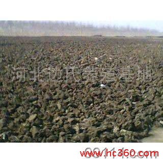 干鸡粪泡水多久才能浇菜 鸡粪用水泡能当水肥用吗