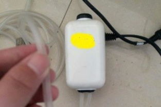 给小鱼最简单制造氧气办法 自制最简单打氧气