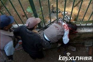 老虎吃人全过程 真实老虎吃人视频