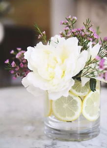 花泥可以提前一天泡吗 花泥泡过水第二天还能用吗