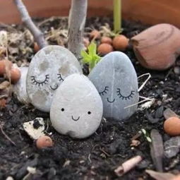 花盆放小石头的危害 在花盆上铺一层石头好吗