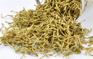 金银花越喝越上火 三种人不宜喝金银花水