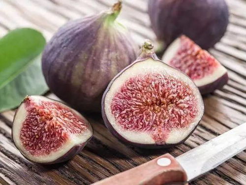 门前屋后不种无花果 无花果忌讳种哪里