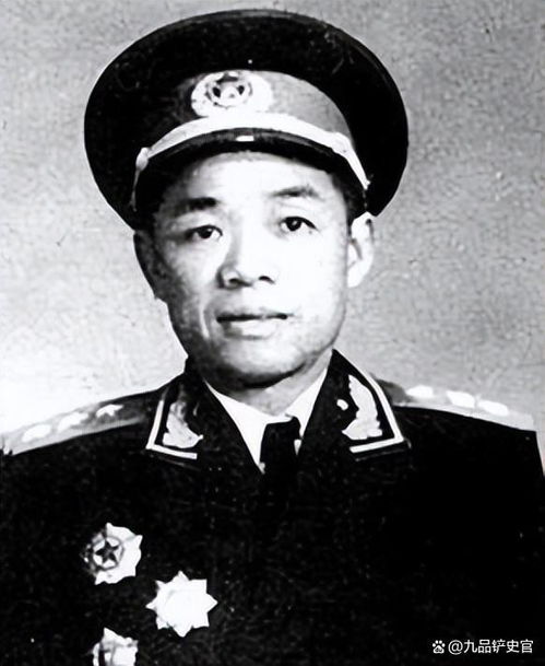 雷电将军不就是芽衣吗 日本人对雷电将军的看法