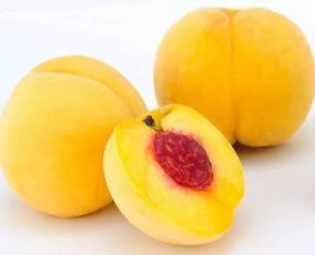 黄桃膨果肥最佳时间 黄桃施什么肥才更甜