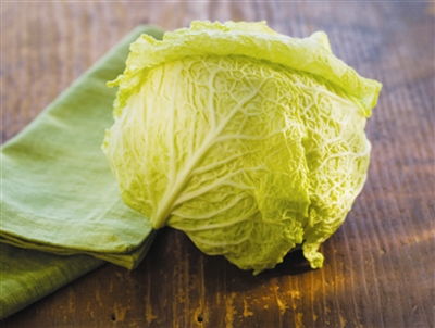 什么叫卷心菜女孩 卷心菜的称呼寓意