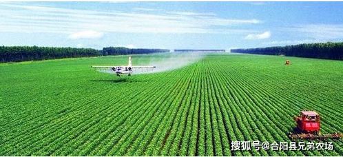 农产品六大类是哪些 农产品五大类