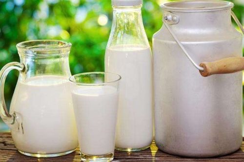 喝酒前一个小时喝酸奶有用吗 酒前多久喝酸奶最好