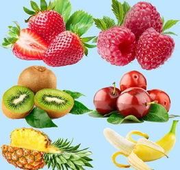 夏天10大水果 夏天30种常见水果