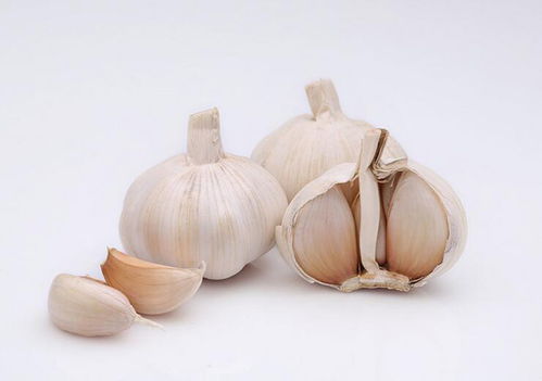 大蒜9月份还能涨吗 2023年大蒜后期还会掉吗