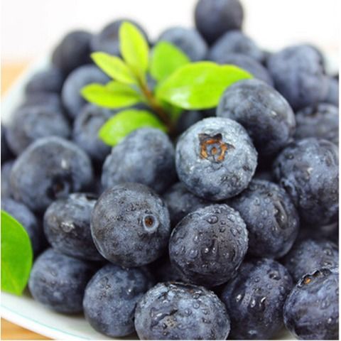 新鲜蓝莓怎么冷冻保存 蓝莓冷冻后解冻会坏吗