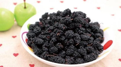 桑葚干100度会被破坏吗 桑葚干泡水多少度