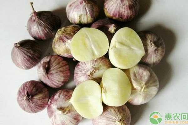 独头蒜为什么比大蒜贵 独头蒜为什么不能吃