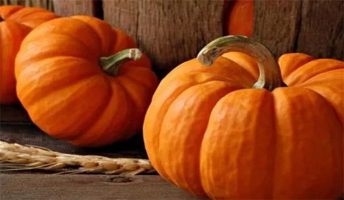 高温天会把南瓜晒死吗 南瓜高温37后还能活吗